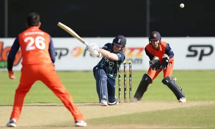 cricket