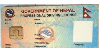 राष्ट्रिय परिचयपत्र आफैँले डाउलोड गर्न सकिने